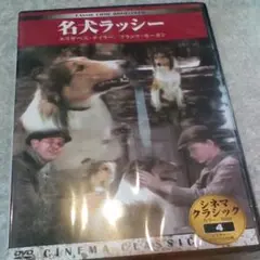 DVD〔名犬ラッシー　エリザベス・テイラー　日本語字幕〕値下げ交渉、返金保証あり