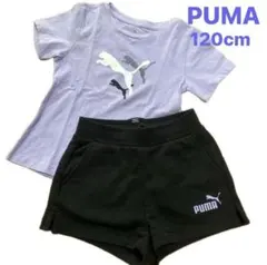 未使用　プーマ　キッズ　女の子 セットアップ Tシャツ ハーフパンツ　120