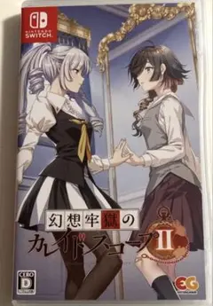 2510 即日発送 幻想牢獄のカレイドスコープ2 Switch