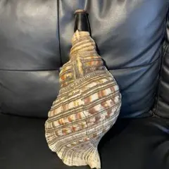 【超希少品】サハラ砂漠のバオバブの実 超希少品】サハラ砂漠のバオバブの実 - メルカリ