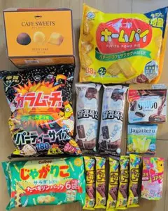 ⑥じゃがりこ ポテトチップス 瀬戸しお ファミリーパック お菓子まとめ