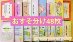 【48枚】韓国greenyeveryday.メモパッドセット【全16種×各3枚】