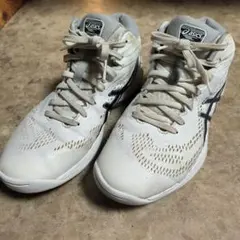 asics アシックス25.0cm バッシュ ホワイトネイビー