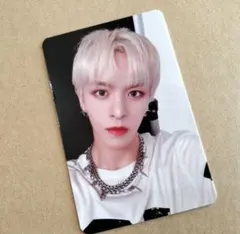 n.SSign Tiger　Whoop Japanヨントントレカ　ロレンス