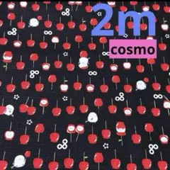ラスト出品SALE★cosmo★サザンクロスシマエナガ ＆りんごあめ★ブラック★