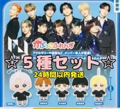 INI かぷっこふれんず 全5種セット コンプリート ガチャガチャ ぬいぐるみ