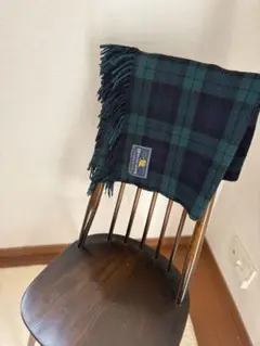 Item thumbnail for item 79ed6ad7-3dd7-47c6-90af-4def9512ecc6