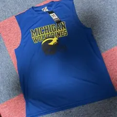 Item thumbnail for item 64f7a58a-1530-4c21-ad8c-05e02b21d381