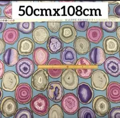 USAコットン ケイフファセット 花柄 生地 ⑧ 50cm