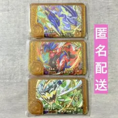 【緩衝材梱包】ポケモンフレンダ　レガシーピック　３枚セット　ベストタッグ1弾