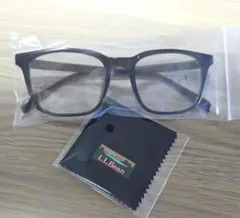 【新品未開封】L.L.Bean ＊調光サングラス、クロス