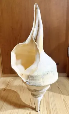 Item thumbnail for item 2dcceaf8-94dd-4a0b-afee-0271c453ae02