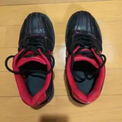 ABS ボウリングシューズ　25cm 左投げ用