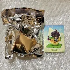原神 童夢奇珍 ちびキャラ フィギュア トレーディング キィニチ カード ナタ