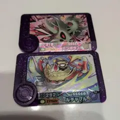 ポケモンフレンダ ベストタッグ第4弾 バンギラス ルチャブル