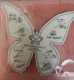 BUTTERFLY EFFECT 蝶