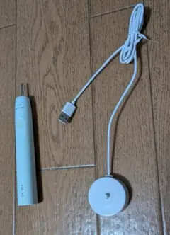 reins エコスワンプセット feco対応品 - メルカリ