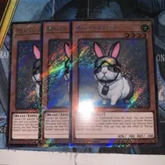 Item thumbnail for item 1fbd4a54-2b0b-44ce-8983-77dedcc55b55