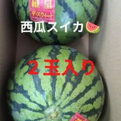 西瓜　２玉入りのサムネイル