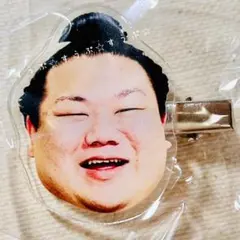 相撲ガチャ【美ノ海】第二弾✩.*˚ヘアピン