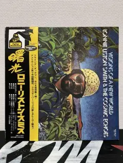 Little Simz NO THANK YOUレコード サイン入り - メルカリ