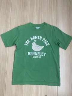 希少　ノースフェイス　Tシャツ　レディース　グリーン　M