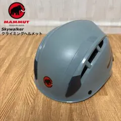 Item thumbnail for item bd95f836-2dd9-44e0-8220-1784aaf77001