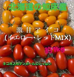 激甘アイコ（イエロー・レッドMIX）約1kgのサムネイル