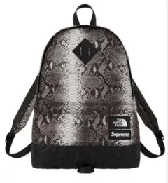 【 新品 】 Supreme x THE NOTH FACE DAY PACK