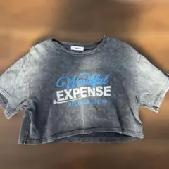 WEGO グレー クロップドTシャツ F