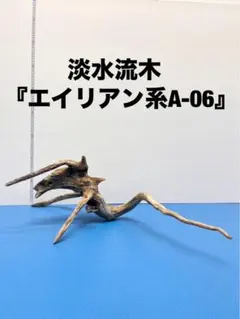 2026年最新】木製くじらの人気アイテム - メルカリ