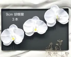 2025年最新】胡蝶蘭の人気アイテム - メルカリ