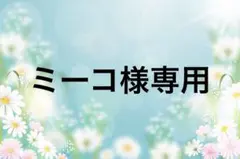 ミーコ様 リクエスト 2点 まとめ商品