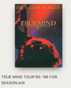 2025年最新】THE YELLOW MONKEY TRUE MINDの人気アイテム - メルカリ