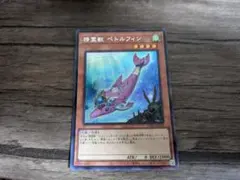 精霊獣 ぺトルフィン　シクパラ