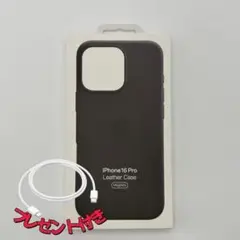 Item thumbnail for item 542a6db8-6a4d-477d-bdb6-17e156fd6f0a