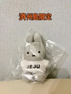 ★期間限定★ 韓国 ポケモン チェジュ 済州島 海女 キーホルダー4点セット 韓国チェジュ島で期間限定オープンしていたポケモンストア