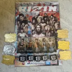 一番くじRIZIN ラストワン賞箔押しサイン入りイラストボード A賞B賞C賞