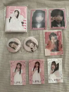 新品❗️桜庭遥花 生誕記念2026 すきくじ C賞 チェキファイル 5点