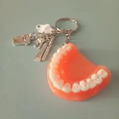 【NEW②】歯科助手　歯科衛生士　歯医者　入れ歯　キーホルダー　チャーム付き
