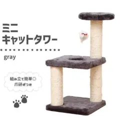 Item thumbnail for item e67759f0-6e5b-451b-bafe-0c3100d49806