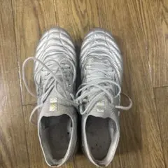 Mizuno　モレリアネオ4　β