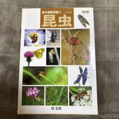 Item thumbnail for item 5d74864f-d88e-4313-b3f3-528edb1d5a08