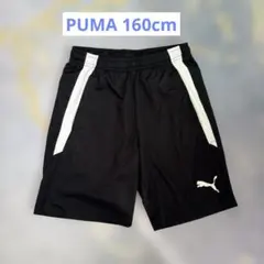 PUMA DRYCELL ハーフパンツ　160cm