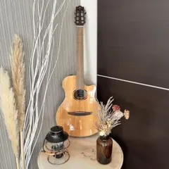 미사용 급 YAMAHA NTX1 엘레가트 순정 케이스 포함