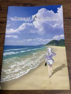 サマーポケッツ　冊子