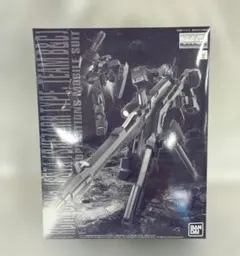 1/100 MG RGM-96Xs ジェスタ シェザール班仕様 B＆C班装備のサムネイル