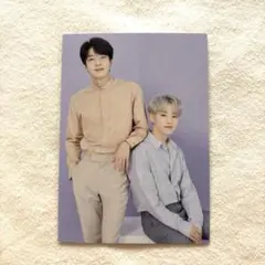 SEVENTEEN ドームツアー　ペアトレカ105 ウォヌ＆ホシ