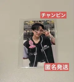 Stray Kids チャンビンVR 入場特典