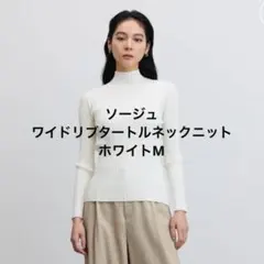 Item thumbnail for item 5c9c1323-a22e-4664-b3d7-5fe1d3bde554